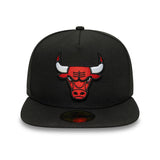 Chicago Bulls Cap